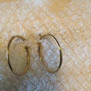 Elegant Gold Hoop Earrings
